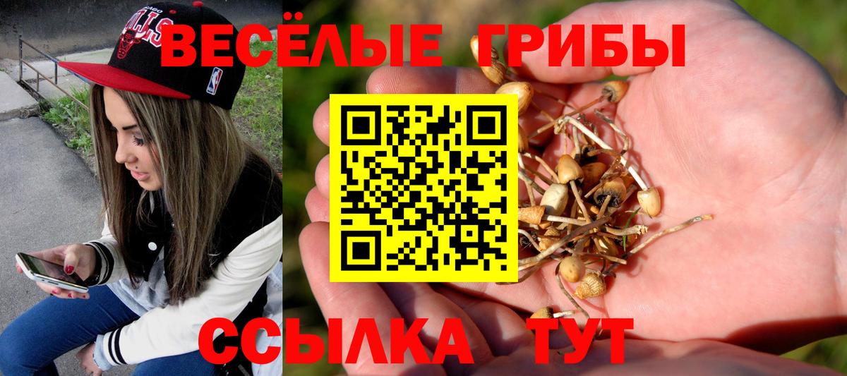 Псилоцибиновые грибы мухоморы  Вход с VPN  Кореновск 